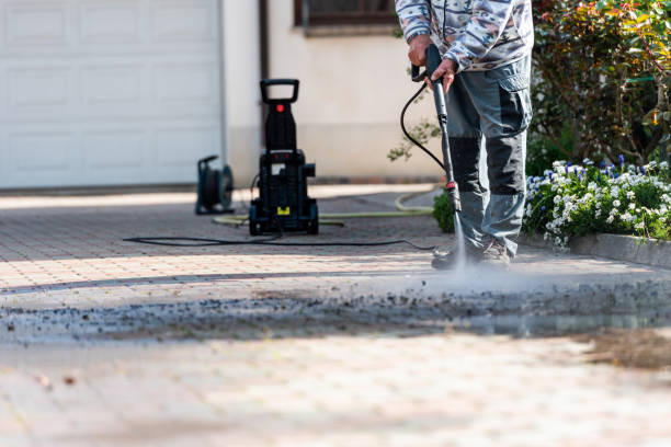 Best Affordable Power Washing  in Adams, WI