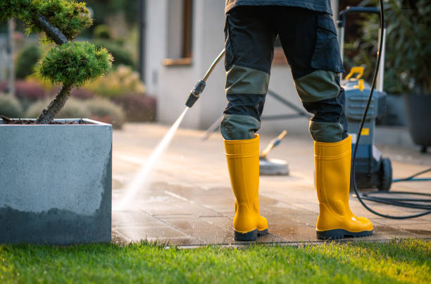 Best House Pressure Washing  in Adams, WI